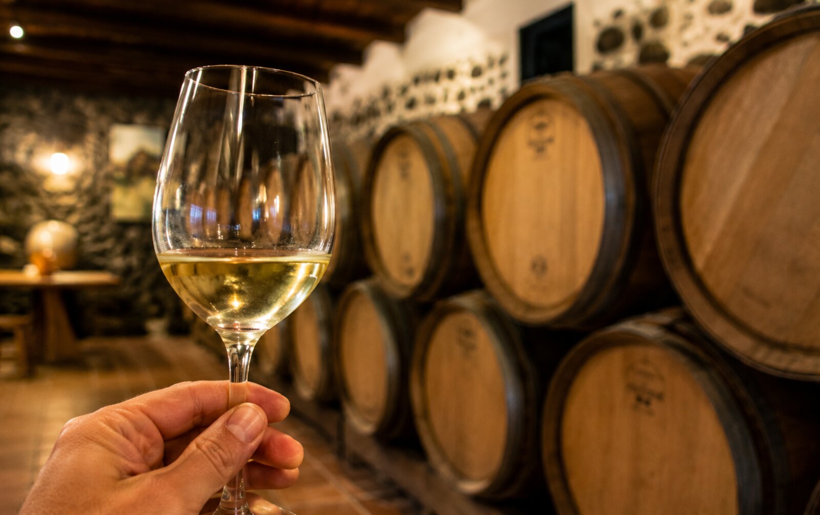 Cata de vino en una bodega de La Geria, Lanzarote
